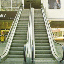 La hauteur maximale de l&#39;Escalator Gre20 est jusqu&#39;à 10 mètres